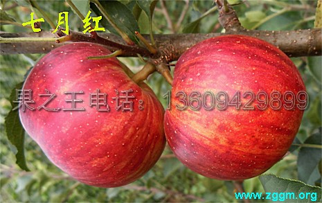 2014092416413527.jpg