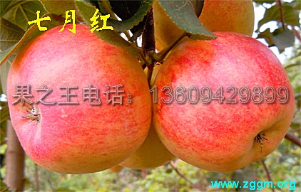 2014092416413518.jpg